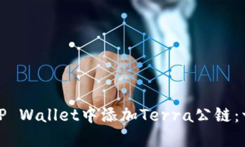 : 如何在TP Wallet中添加Terra公链：一步步指南