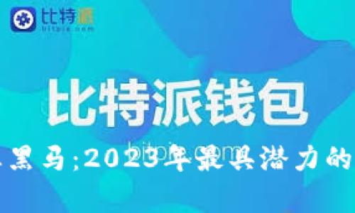 数字货币行业黑马：2023年最具潜力的创新项目分析