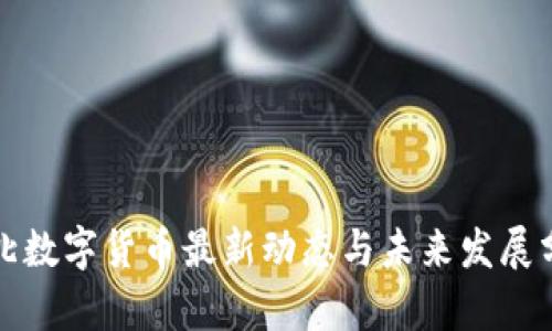 河北数字货币最新动态与未来发展分析